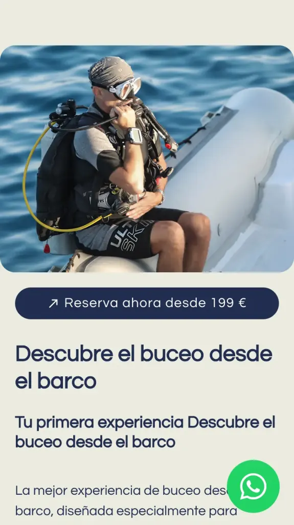 Ficha de un curso de Big Blue Diving en el móvil, con el botón de reserva y el precio desde 199 €