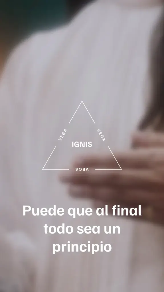 Portada de la web de Vega en el móvil