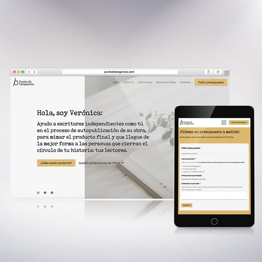 Diseño web profesional Madrid