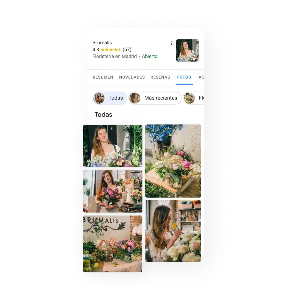 especialista seo local